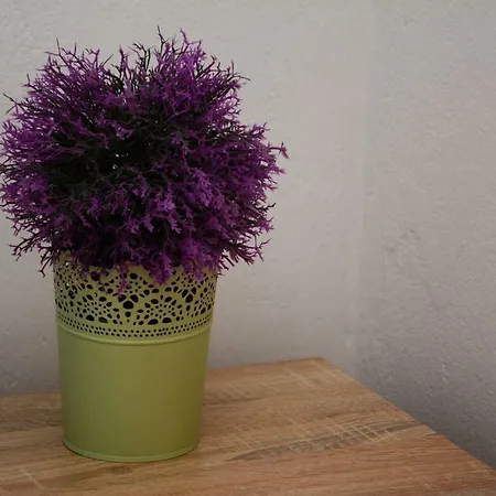 Centar Apartamento